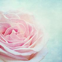 Glace au rose by Priska Wettstein