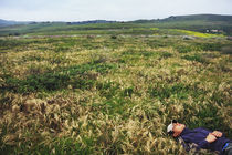 Relaxing in Field at Jalama Beach, California by Melissa Salter