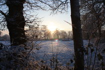 Winterlandschaft von michas-pix