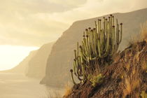 los gigantes auf teneriffa by ralf werner froelich