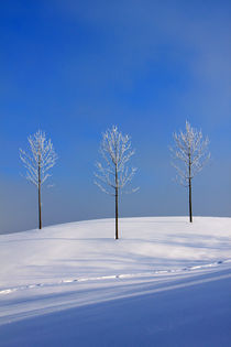 Bereifter Dreier im Winter von opaho