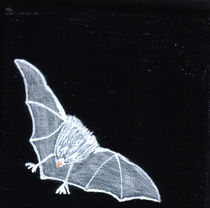 Pipistrello von Hildegard Fatahtouii