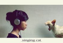 singing cat von paulchensmom
