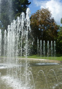 Springbrunnen von regenbogenfloh