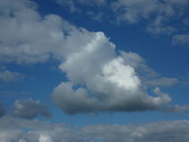 Wolken von regenbogenfloh