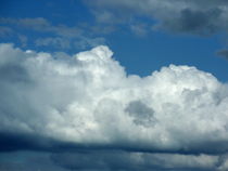 Wolken von regenbogenfloh