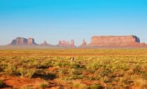 Monument Valley von cibella