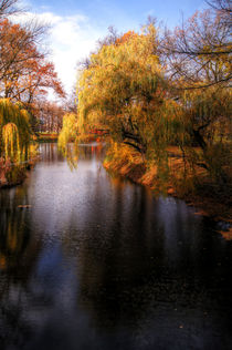 Herbst am See by magdeburgerin