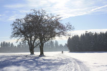 Wintertraum von juergen2008
