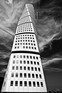 Turning Torso Malmö mit Möwe von Marc Mielzarjewicz