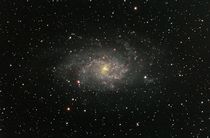 Dreiecksgalaxie M33 von Christian Dahm