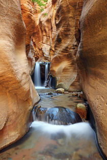 Kanarra Creek by Rainer Grosskopf