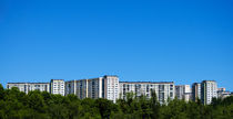 City meets nature- Polen von miekephotographie