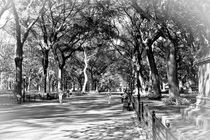 Central Park Stroll B&W von Ian C Whitworth