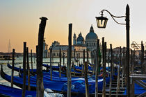 Venice Late Day Sun by Ian C Whitworth