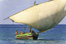 Dhow sailing 10 von Leandro Bistolfi