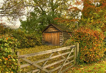 The Autumn Shed von Len Bage