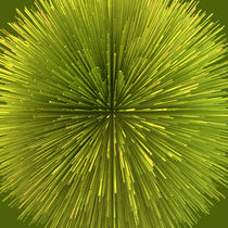 Spiny Lime Ball von Philip Roberts