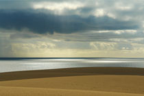 Fuerteventura, Dünen von Corralejo von Frank Rother