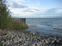 Bodensee von Giseltraud van Doeselar