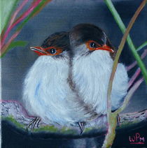 Fairy Wrens von Wendy Mitchell