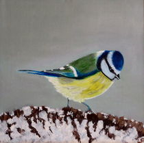 Blue tit in the snow by Wendy Mitchell