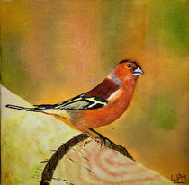 Chaffinch by Wendy Mitchell