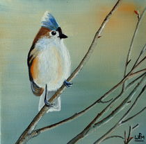 Tufted Titmouse by Wendy Mitchell