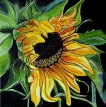 Sunflower von Wendy Mitchell
