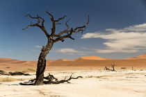 Die Wüste Namib  by Jürgen Klust