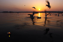 Flight of Delight-7, Varanasi, India by Soumen Nath