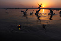 Flight of Delight-6, Varanasi, India by Soumen Nath