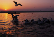 Flight of Delight-5, Varanasi, India von Soumen Nath