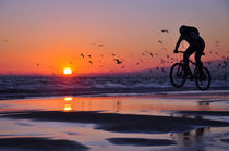 Cycling To Fly, Sea, Portugal von Joao Coutinho