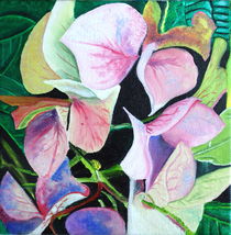 Hortensia by Wendy Mitchell