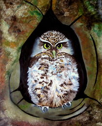 Owl by Wendy Mitchell