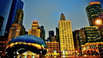 Chicago Bean by Sookie Endo