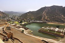 Elephant, Amer Fort, Jaipur, India von Soumen Nath