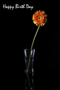 Happy Birthday , Gerbera, Greeting Card von Soumen Nath