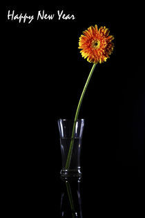 Happy New Year, Greeting Card, Gerbera von Soumen Nath