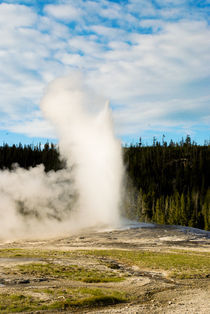 Old Faithful von Simen Oestmo