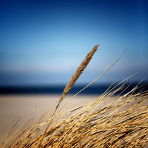 Sylt Impressions #30 by Melanie Hinz