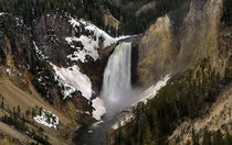 Yellowstone - Lower Falls von tgigreeny