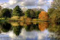 Autumn, Reflected