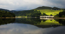 Ladybower Reservoir von tgigreeny