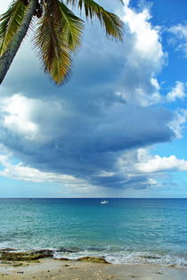 Cloudy Day in St. Croix by Julie Hewitt