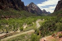 Zion Canyon by tgigreeny