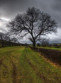 Dales Tree von tgigreeny