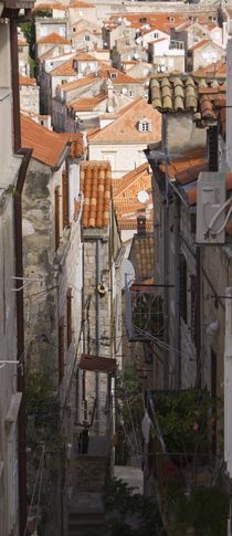 Roofs and Alleyways by tgigreeny