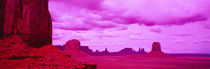 Rock formations on a landscape, Monument Valley, Arizona, USA by Panoramic Images